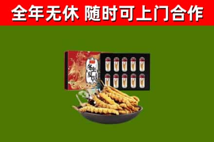 上思回收冬虫夏草价格